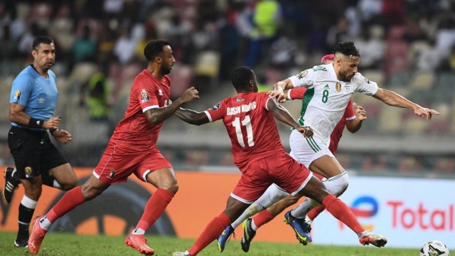 تقييم لاعبي الجزائر في مباراة غينيا الاستوائية بكأس إفريقيا