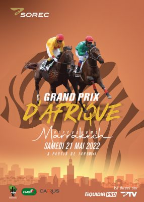 مراكش تستضيف المسابقة الكبرى لأفريقيا لسباقات الخيول