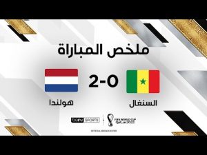 ملخص مباراة السنغال وهولندا (0-2)