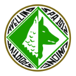 جدول المباريات